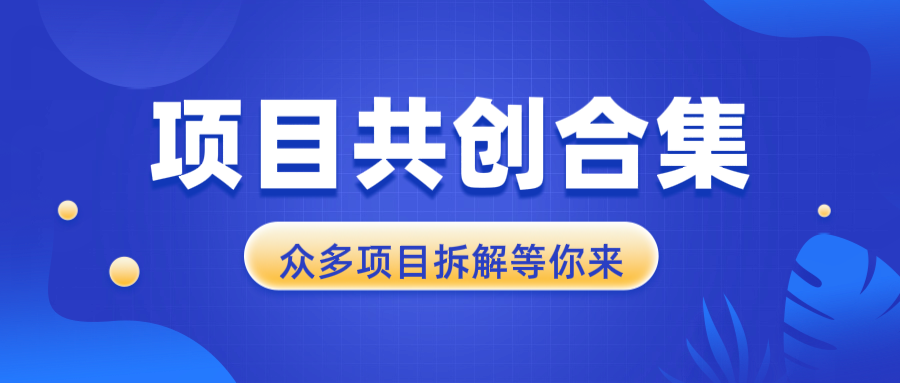 项目共创合集，从0-1全过程拆解，让你迅速找到适合自已的项目-有道资源网