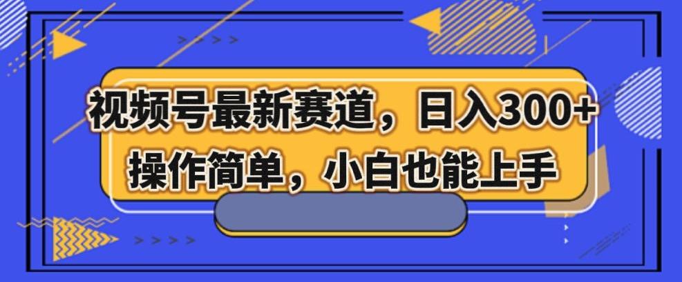 视频号最新赛道，日入300+，新手小白轻松掌握-有道资源网