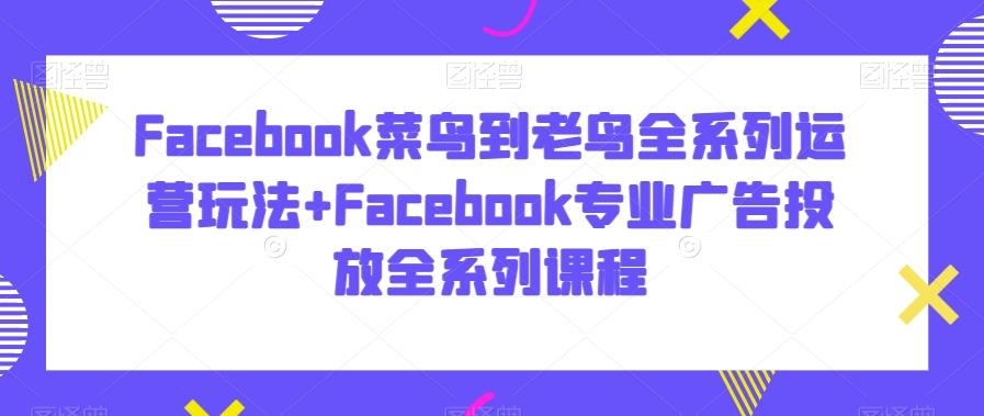 Facebook菜鸟到老鸟全系列运营玩法+Facebook专业广告投放全系列课程-有道资源网