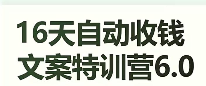 16天自动收钱文案特训营6.0，学会儿每天自动咔咔收钱-有道资源网