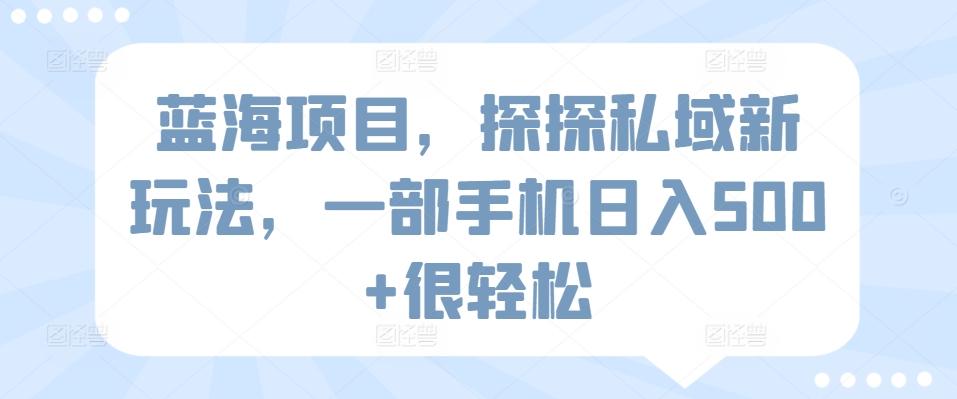 蓝海项目，探探私域新玩法，一部手机日入500+很轻松【揭秘】-有道资源网