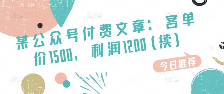 某公众号付费文章：客单价1500，利润1200(续)，市场几乎可以说是空白的-有道资源网