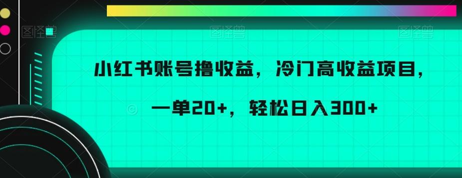 小红书账号撸收益，冷门高收益项目，一单20+，轻松日入300+【揭秘】-有道资源网