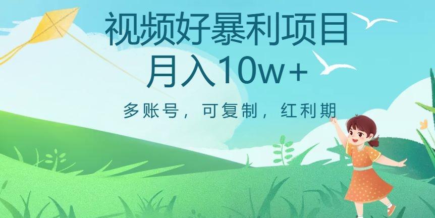 外边收费699项目，视频号暴利项目，多账号可复制，红利期-有道资源网