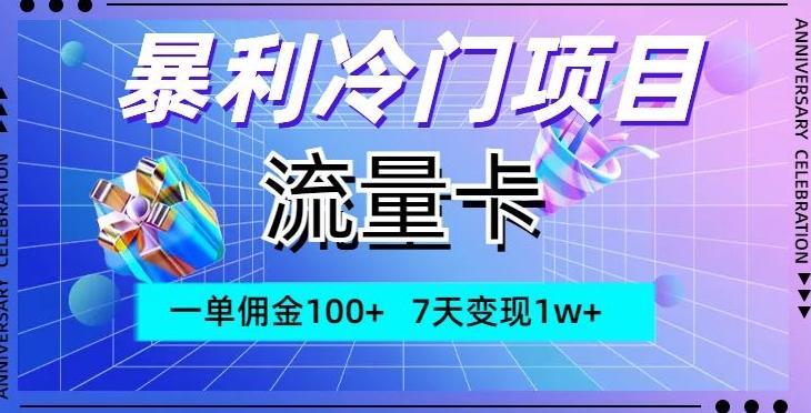 暴利冷门项目，流量卡，一单佣金100+，7天变现1w+-有道资源网