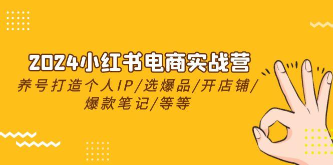 2024小红书电商实战营，养号打造IP/选爆品/开店铺/爆款笔记/等等(24节)-有道资源网