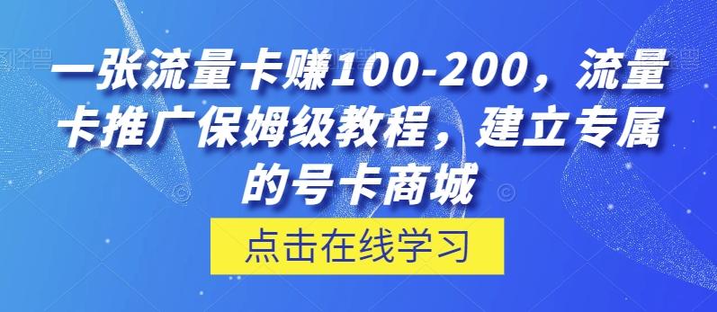 一张流量卡赚100-200，流量卡推广保姆级教程，建立专属的号卡商城-有道资源网