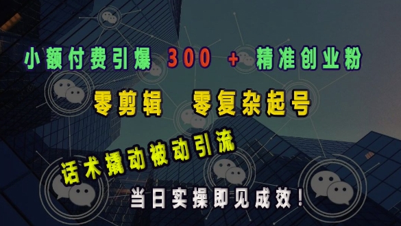 小额付费引爆 300 + 精准创业粉，零剪辑、零复杂起号，话术撬动被动引流，当日实操即见成效-有道资源网