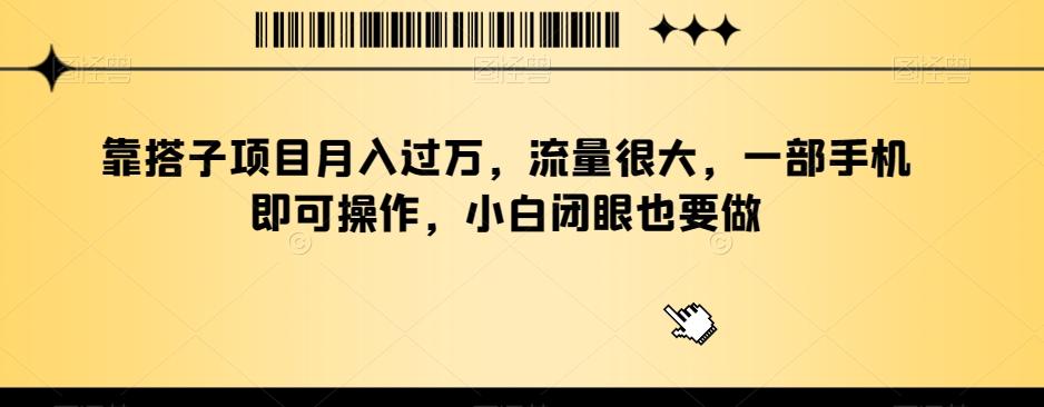 靠搭子项目月入过万，流量很大，一部手机即可操作，小白闭眼也要做-有道资源网