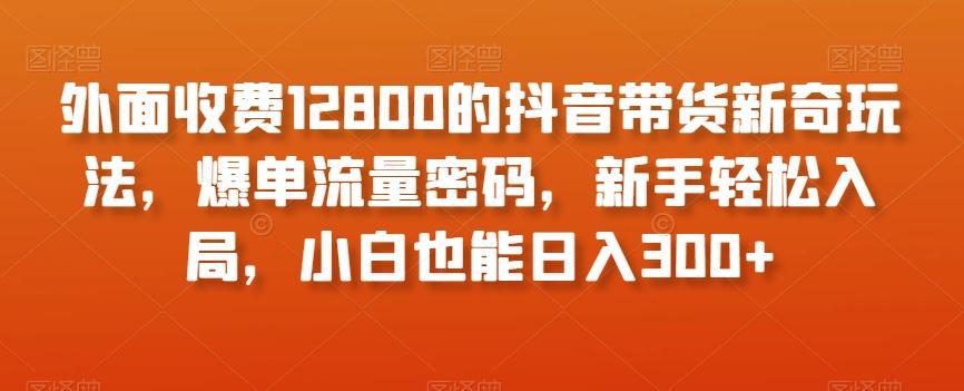 外面收费12800的抖音带货新奇玩法，爆单流量密码，新手轻松入局，小白也能日入300+【揭秘】-有道资源网