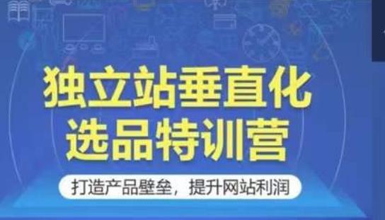 独立站垂直化选品特训营，打造产品壁垒，提升网站利润-有道资源网