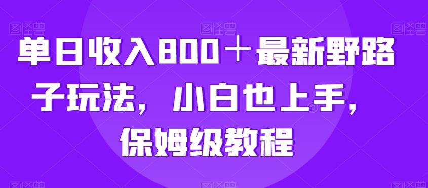 单日收入800＋最新野路子玩法，小白也上手，保姆级教程-有道资源网