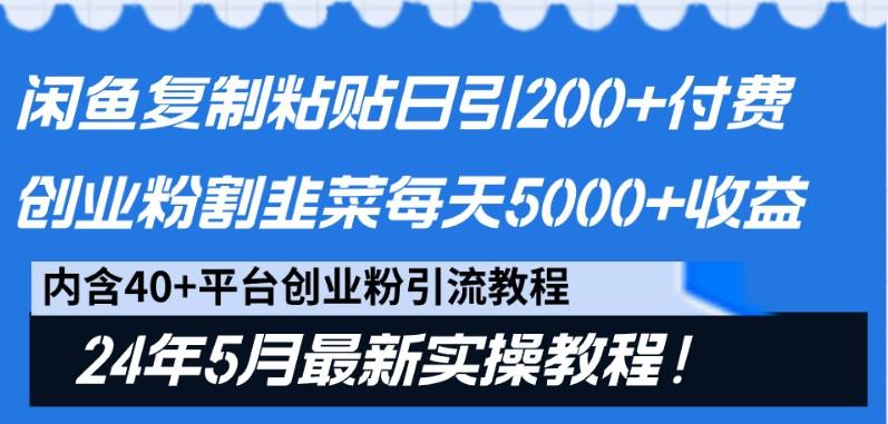 闲鱼复制粘贴日引200+付费创业粉，24年5月最新方法！割韭菜日稳定5000+收益-有道资源网