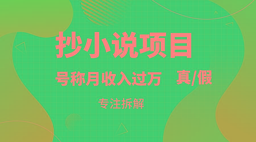 抄小说项目，号称月入过万，到底是否真实，能不能做，详细拆解-有道资源网