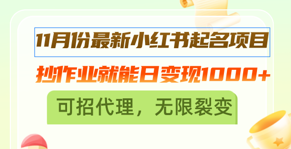 11月份最新小红书起名项目，抄作业就能日变现1000+，可招代理，无限裂变-有道资源网