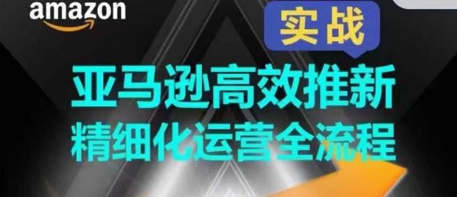 亚马逊高效推新精细化运营全流程，全方位、快速拉升产品排名和销量!-有道资源网