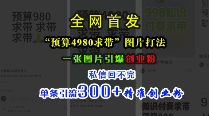 小红书“预算4980带我飞”图片打法，一张图片引爆创业粉，私信回不完，单条引流300+精准创业粉-有道资源网