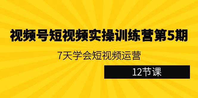 视频号短视频实操训练营第5期：7天学会短视频运营(12节课)-有道资源网