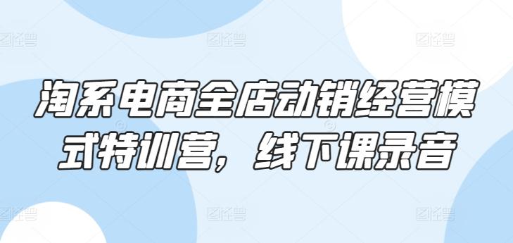 淘系电商全店动销经营模式特训营，线下课录音-有道资源网