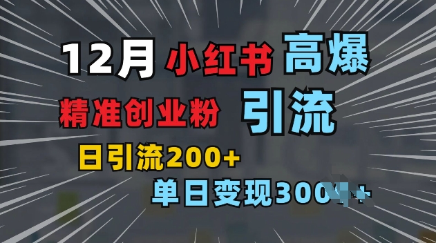 小红书一张图片“引爆”创业粉，单日+200+精准创业粉 可筛选付费意识创业粉【揭秘】-有道资源网