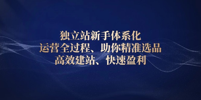 独立站新手体系化 运营全过程，助你精准选品、高效建站、快速盈利-有道资源网