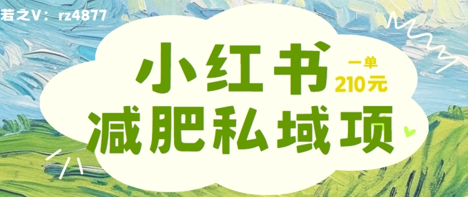 小红书减肥粉，私域变现项目，一单就达210元，小白也能轻松上手【揭秘】-有道资源网