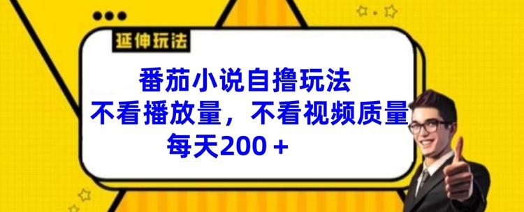 番茄小说自撸玩法，不看播放量，不看视频质量，每天200+【揭秘】-有道资源网