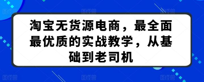 淘宝无货源电商，最全面最优质的实战教学，从基础到老司机-有道资源网