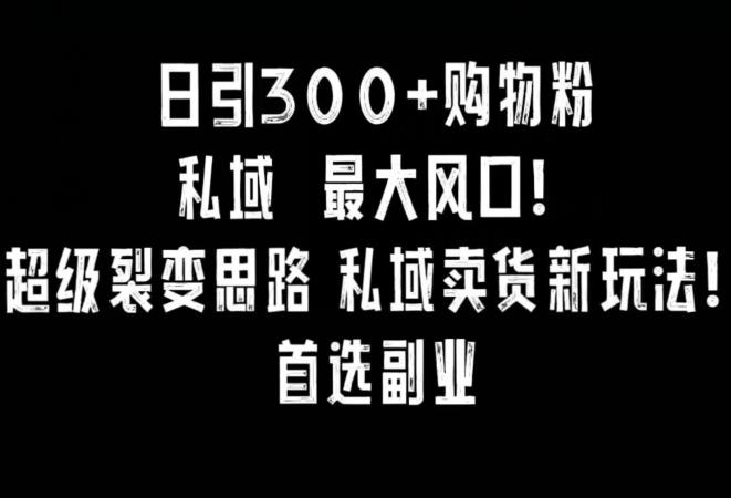 日引300+购物粉，超级裂变思路，私域卖货新玩法，小红书首选副业【揭秘】-有道资源网