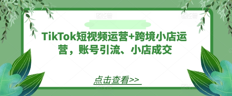 TikTok短视频运营+跨境小店运营，账号引流、小店成交-有道资源网