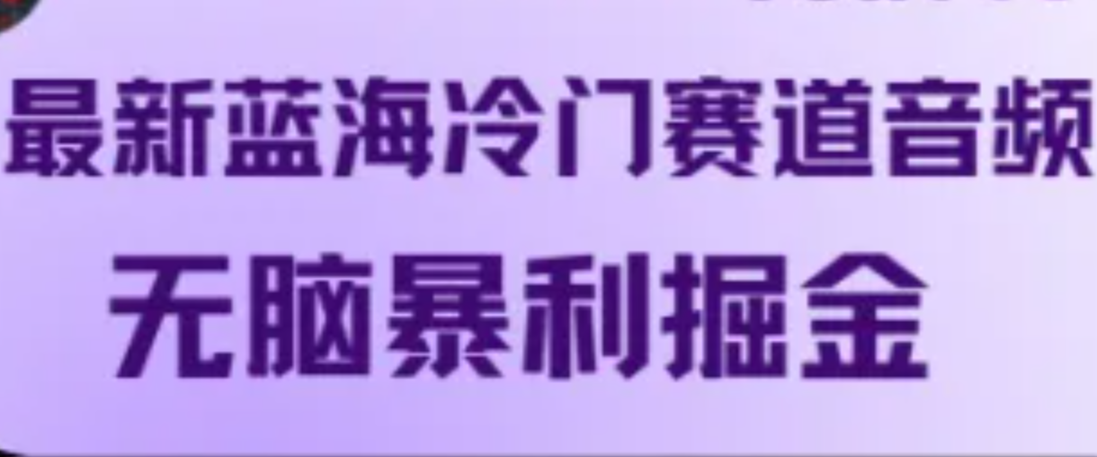 最新蓝海冷门赛道音频，无脑暴利掘金-有道资源网