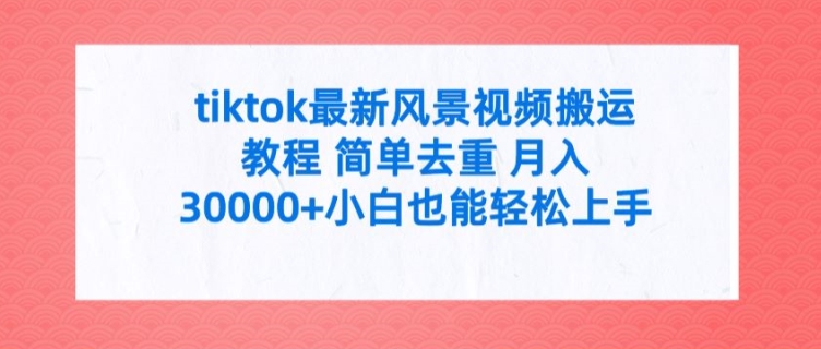 tiktok最新风景视频搬运教程 简单去重 月入3W+小白也能轻松上手【揭秘】-有道资源网