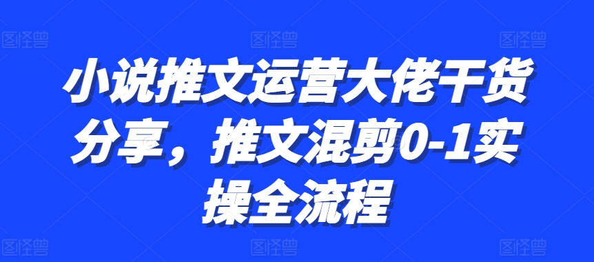 小说推文运营大佬干货分享，推文混剪0-1实操全流程-有道资源网