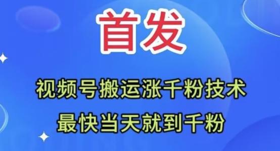 全网首发：视频号无脑搬运涨千粉技术，最快当天到千粉【揭秘】-有道资源网