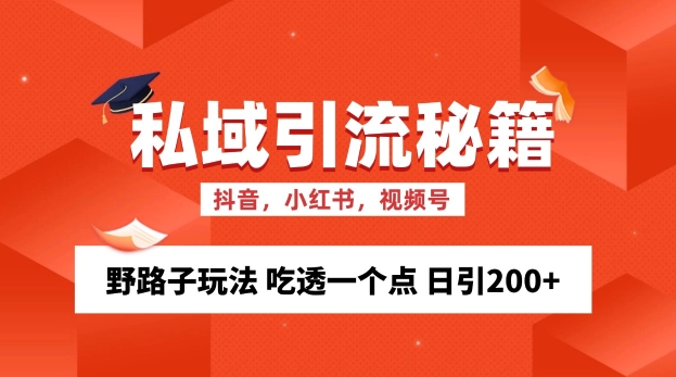 私域流量的精准化获客方法 野路子玩法 吃透一个点 日引200+ 【揭秘】-有道资源网