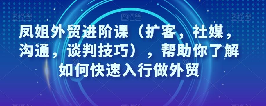 凤姐外贸进阶课（扩客，社媒，沟通，谈判技巧），帮助你了解如何快速入行做外贸-有道资源网