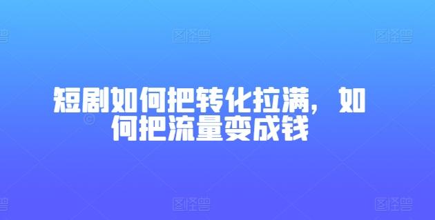 短剧如何把转化拉满，如何把流量变成钱-有道资源网