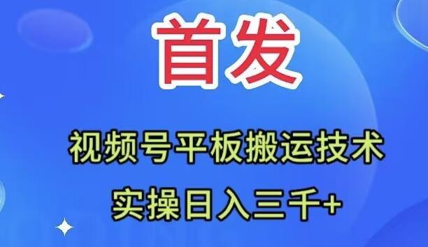 全网首发：视频号平板搬运技术，实操日入三千＋-有道资源网