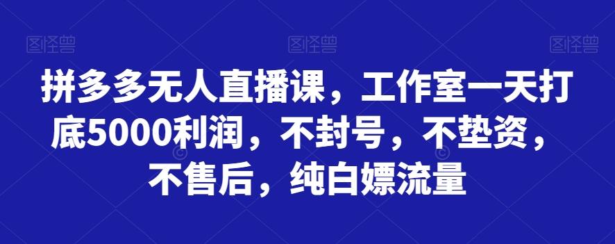 拼多多无人直播课，工作室一天打底5000利润，不封号，不垫资，不售后，纯白嫖流量-有道资源网