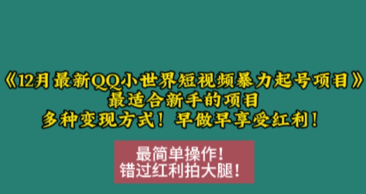 12月最新QQ小世界短视频暴力起号项目，最适合新手的项目，多种变现方式-有道资源网