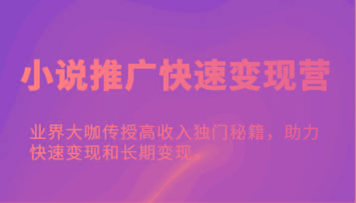 小说推广快速变现营-业界大咖传授高收入独门秘籍，助力快速变现和长期变现。-有道资源网