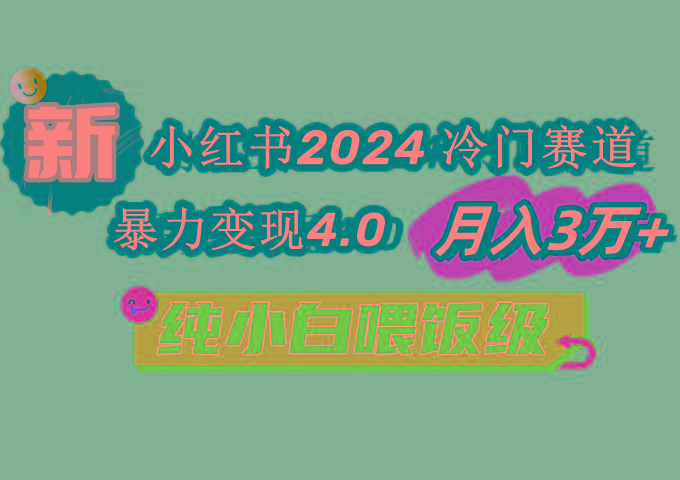 小红书2024冷门赛道 月入3万+ 暴力变现4.0 纯小白喂饭级-有道资源网