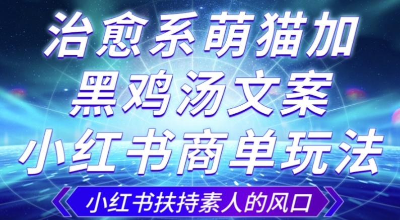 治愈系萌猫加+黑鸡汤文案，小红书商单玩法，3~10天涨到1000粉，一单200左右-有道资源网