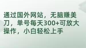 通过国外网站，无脑赚美刀，单号每天300+可放大操作，小白轻松上手【揭秘】-有道资源网