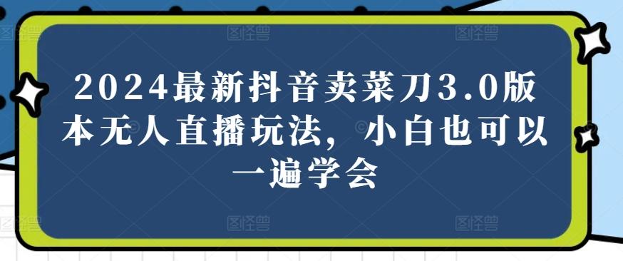 2024最新抖音卖菜刀3.0版本无人直播玩法，小白也可以一遍学会【揭秘】-有道资源网