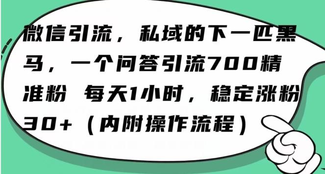 怎么搞精准创业粉？微信新赛道，每天一小时，利用Ai一个问答日引100精准粉-有道资源网