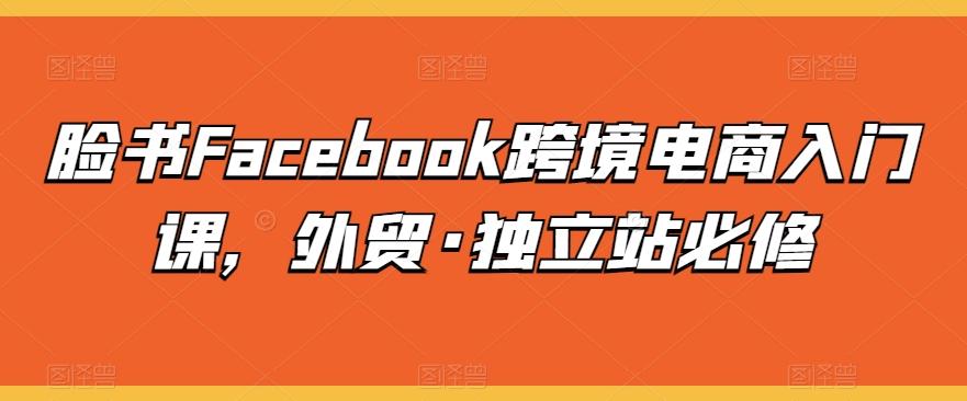 脸书Facebook跨境电商入门课，外贸·独立站必修-有道资源网