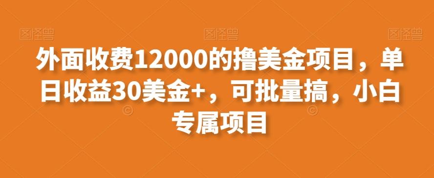 外面收费12000的撸美金项目，单日收益30美金+，可批量搞，小白专属项目-有道资源网