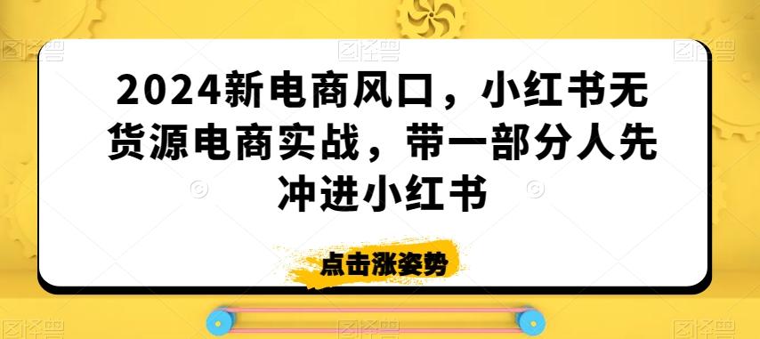 2024新电商风口，小红书无货源电商实战，带一部分人先冲进小红书-有道资源网