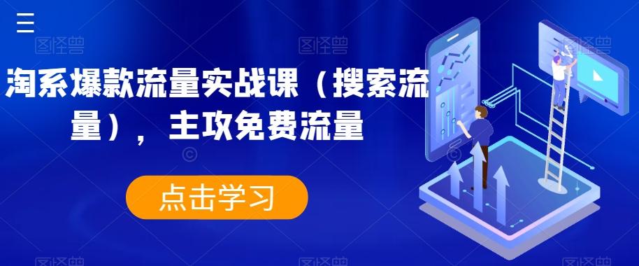 淘系爆款流量实战课（搜索流量），主攻免费流量-有道资源网